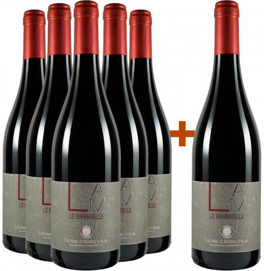 5+1 Paket Le Barbatelle Lacrima Morro D'alba DOC - Tenute Cesaroni