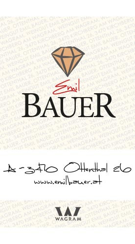 2017 Pinot Blanc Beerenauslese17 edelsüß 0,375 L - Weingut Emil Bauer