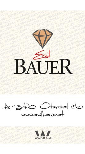 2024 Pinot Blanc Beerenauslese24 edelsüß 0,375 L - Weingut Emil Bauer