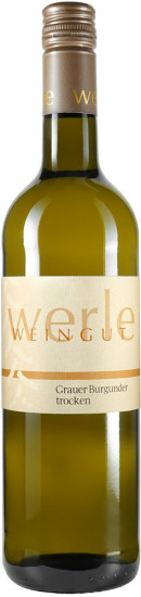 2023 Grauer Burgunder trocken - Weingut Werle