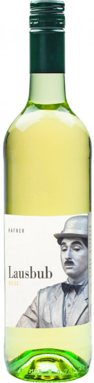 Lausbub, Weißweincuvée trocken - Weingut Hafner