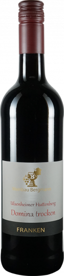 2022 Domina trocken - Weinbau Bergmann