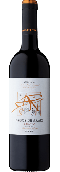 2021 Crianza Navarra DO trocken - Pagos de Araiz