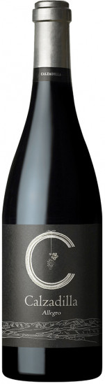 2020 Calzadilla Allegro Pago Calzadilla VP trocken Bio - Pago Calzadilla