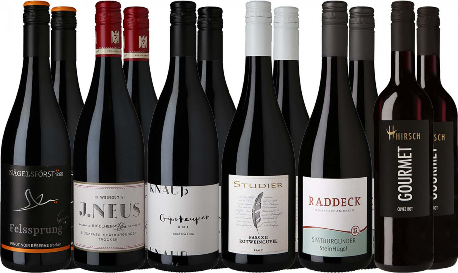 Großes Rotwein Vielfalt-Paket 