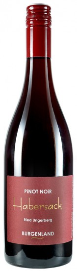 2021 Pinot Noir trocken - Weingut Habersack