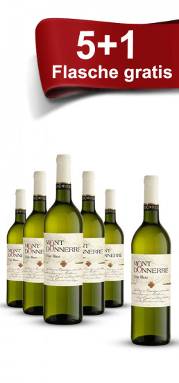 2013 SCHALES Merlot Blanc de Noir trocken - Weingut Schales