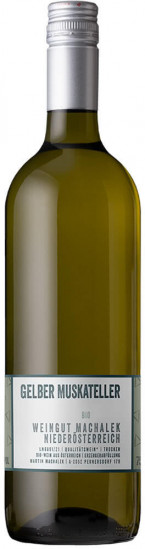 2024 Gelber Muskateller trocken - Weingut Machalek