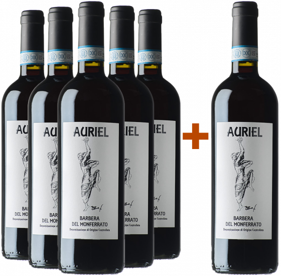 5+1 Paket Barbera del Monferrato DOC - Auriel