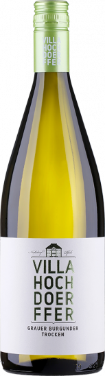 2024 Grauer Burgunder trocken 1,0 L - Weingut Villa Hochdörffer