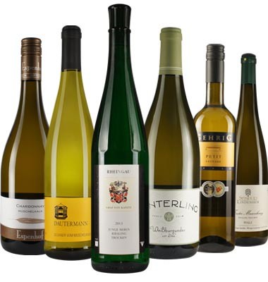 WirWinzer-Favoriten: Top-Weißwein Paket