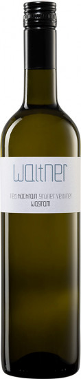 2024 Grüner Veltliner Ried Engelmannsbrunner Hochrain trocken - Weingut Gerald Waltner