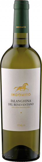 2022 Falanghina del 'Indomito' Beneventano IGP - Indomito