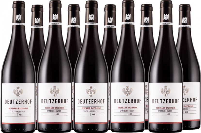 Aktionspaket 2021 Neuenahr Balthasar trocken - Weingut Deutzerhof