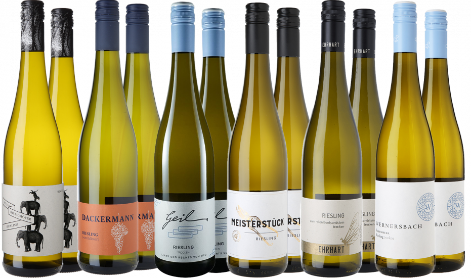 Riesling Entdeckungsreise 