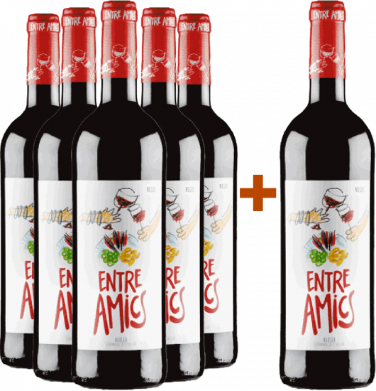 5+1 Paket Entre Amics Alella DO Bio - Bouquet d'Alella