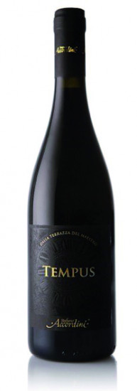 2023 Tempus Cuvée Veneto IGP trocken - Stefano Accordini