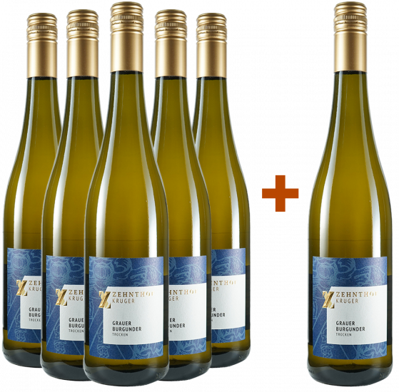 5+1 Grauer Burgunder trocken - Weingut Zehnthof Kruger