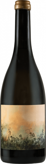 2024 Petricore Marche IGP trocken Bio - Tenuta San Marcello