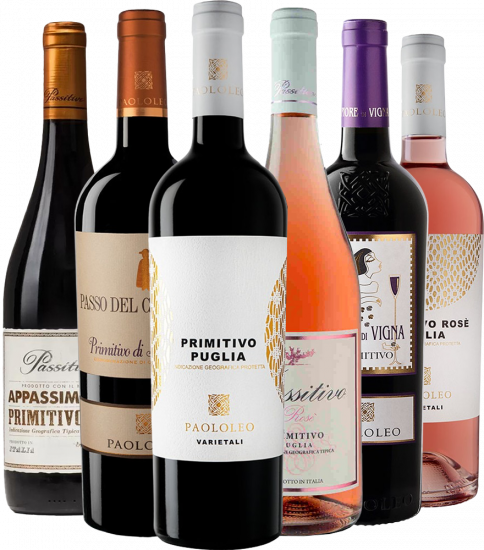 Paololeo Primitivo-Paket - Cantine Paololeo