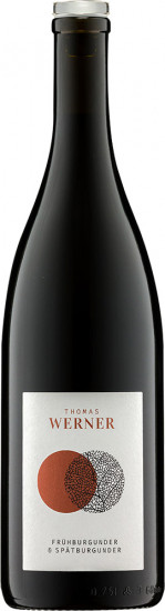 2022 Spätburgunder & Frühburgunder trocken Bio - Weingut Arndt F. Werner