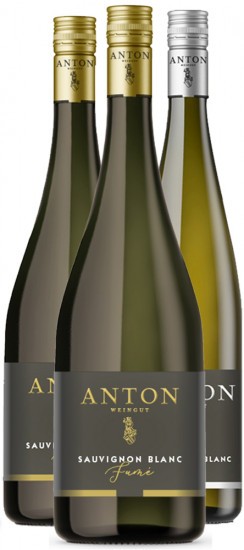 Anton Sauvignon Blanc-Paket - Weingut Anton