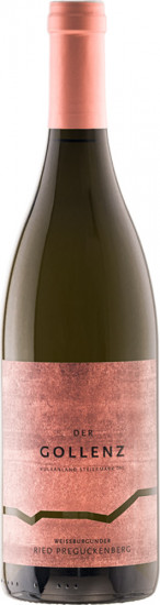2016 Weissburgunder Ried Preguckenberg - Weingut Gollenz