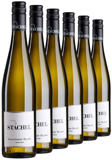 Sauvignon Blanc-Paket trocken // Weingut Erich Stachel