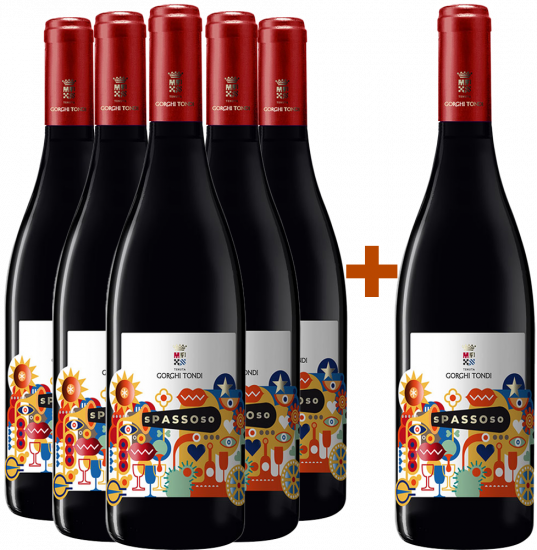 5+1  Spassoso Appassimento Terre Siciliane IGP - Tenuta Gorghi Tondi