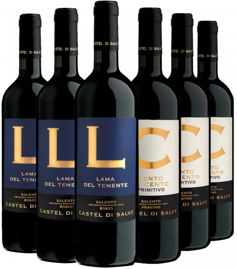 Salento IGP Premium Kennenlern-Paket - Castel di Salve