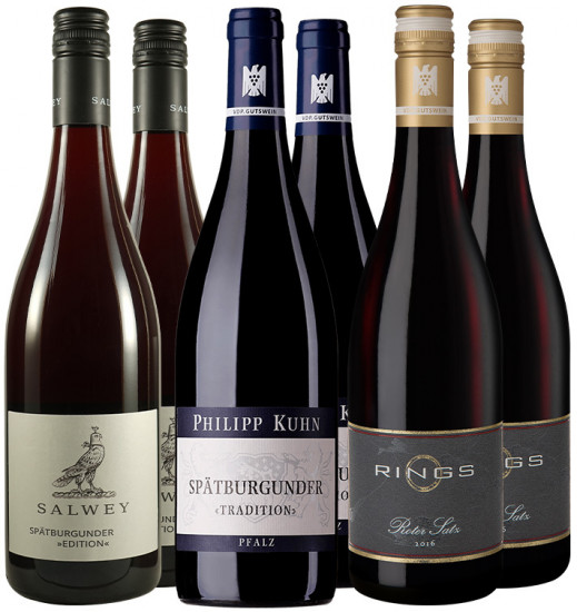 VDP Rotweine Probierpaket