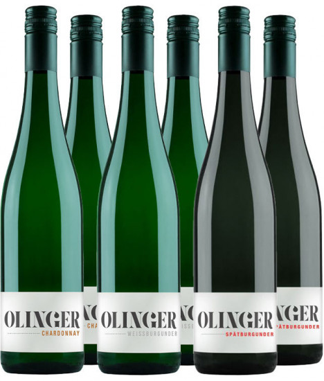 BurgunderReise - Gebrüder Müller-Familie Olinger