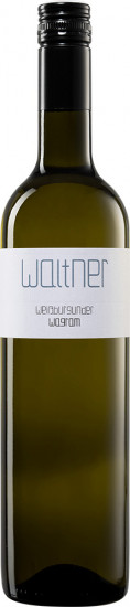 2025 Weißburgunder trocken - Weingut Gerald Waltner