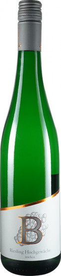 2023 Riesling Hochgewächs trocken - Weingut Burg