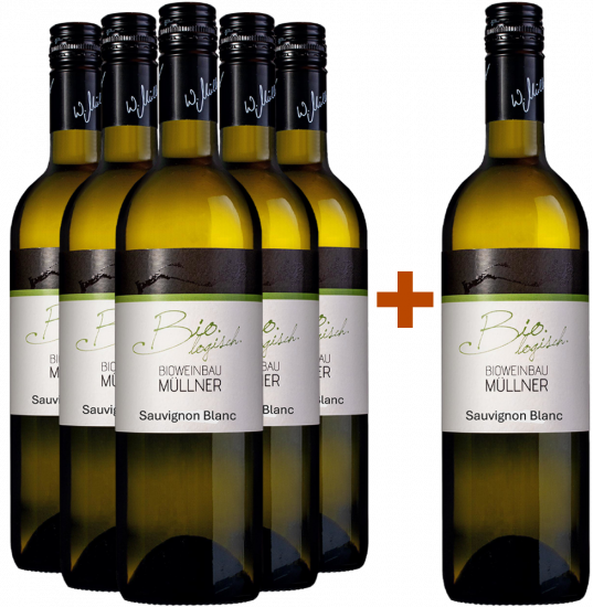 5+1 2025 Sauvignon Blanc BIO Paket - BIO Weinbau Müllner KG - BIO Weinbau Müllner