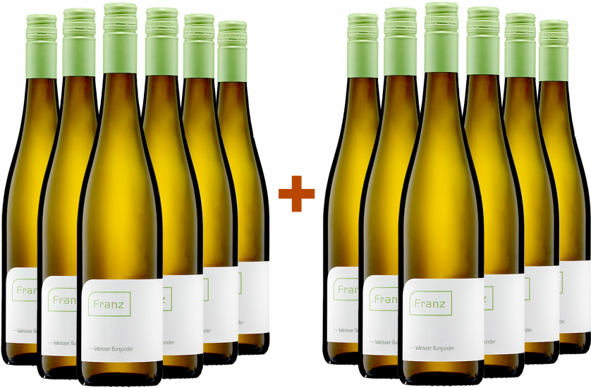 6 +6 Paket 2024 Weißburgunder trocken Bio - Weingut Franz