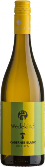 2023 Niersteiner Cabernet blanc (Piwi) trocken Bio - Weingut Wedekind