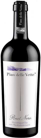 2017 Pinot Nero Vigneti delle Dolomiti IGP trocken - Pian delle Vette
