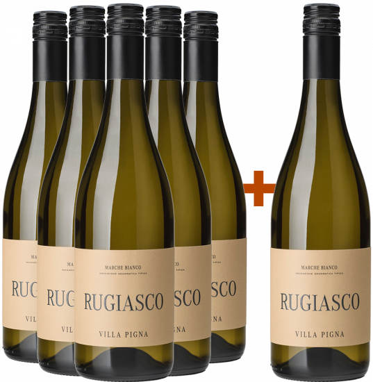 5+1 Rugiasco Marche IGP - Cantina Villa Pigna