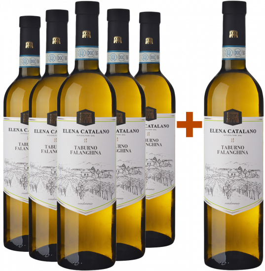 5+1 Paket Falanghina Del Sannio Taburno DOC - Tenuta Elena Catalano