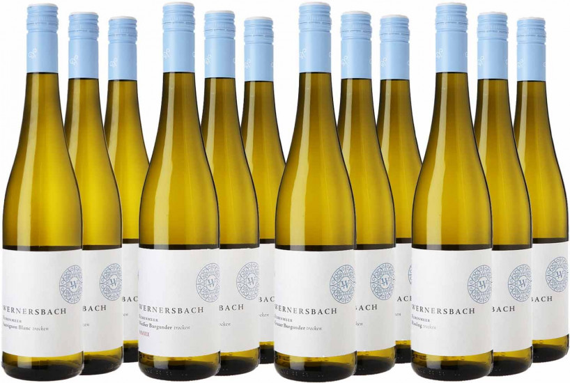 Rebenmeer Rebsorten-Collection - Weingut Stephan Wernersbach