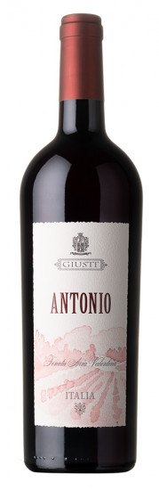 2020 Antonio Montello e Colli Asolani DOC trocken - Giusti Wine