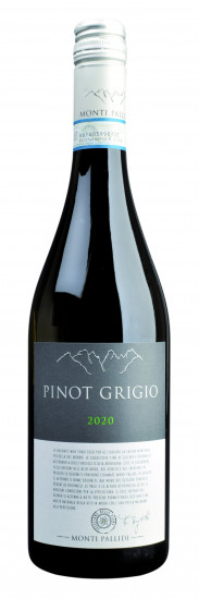 2022 Pinot Grigio Vigneti delle Dolomiti IGP trocken - 