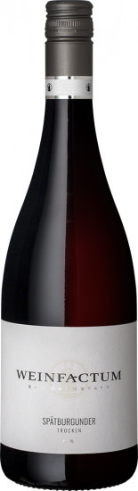 2023 Spätburgunder ** trocken - Weinfactum