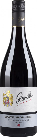 2020 Fellbacher Goldberg Spätburgunder* trocken - Weingut Rienth