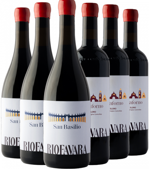 Riofavara Rotewein Kennenlern-Paket Bio - Riofavara