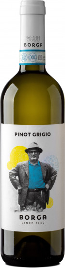 2024 Pinot Grigio delle Venezie DOC trocken - Cantine Borga