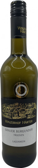 2024 Grauer Burgunder trocken - Winzerhof Härter
