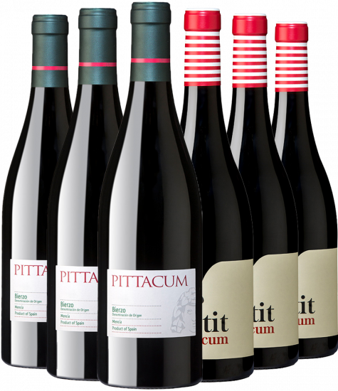 Kennenlernpaket Pittacum Bierzo DO - Pittacum