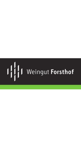 2014 Merlot Magnumflasche Bio 1,5L trocken - Weingut Forsthof